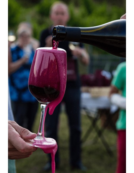 Oium · Vino Colli Bolognesi Merlot DOC  - 3