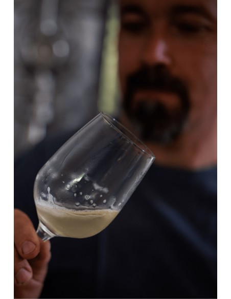 alloB · Vino Colli Bolognesi Pignoletto DOCG Frizzante  - 4