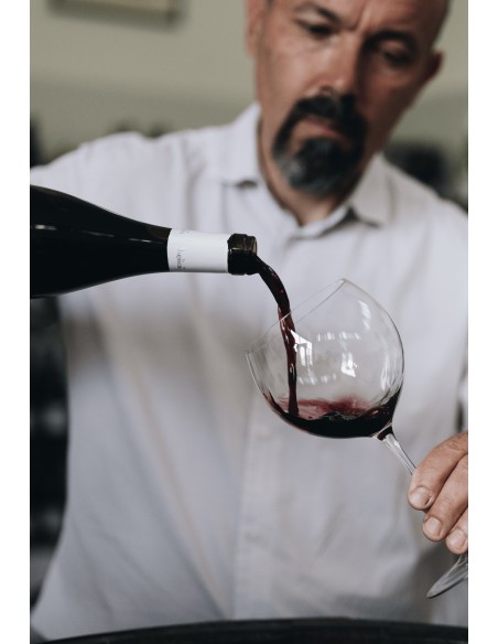 Le Borghe · Vino Colli Bolognesi Barbera DOC Frizzante - Formato da 18 bottiglie  - 2