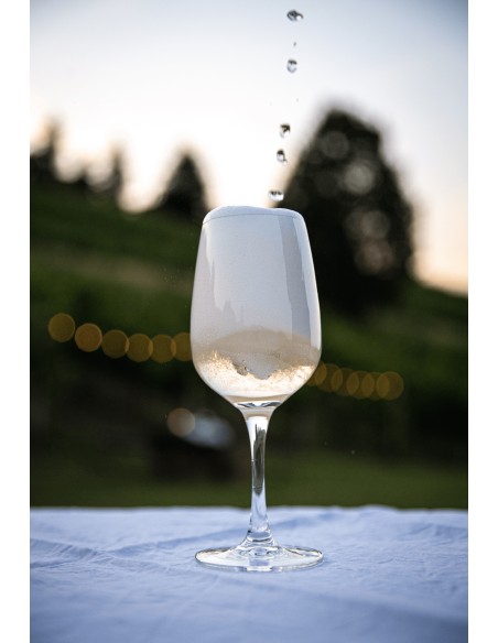 alloB · Vino Colli Bolognesi Pignoletto DOCG Frizzante - Formato da 18 bottiglie  - 2