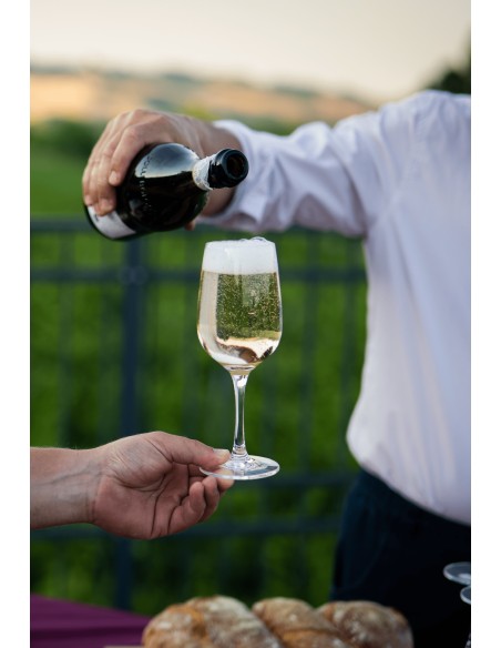 alloB · Vino Colli Bolognesi Pignoletto DOCG Frizzante - Formato da 18 bottiglie  - 3