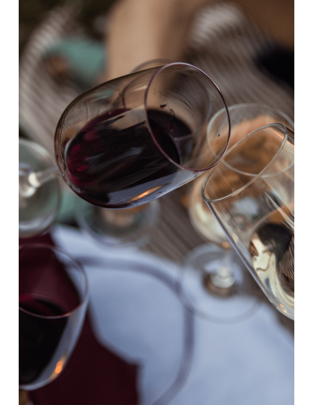 Le Borghe · Vino Colli Bolognesi Barbera DOC Frizzante - Formato da 18 bottiglie  - 3