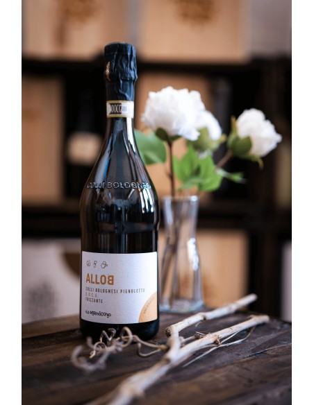 alloB · Vino Colli Bolognesi Pignoletto DOCG Frizzante  - 3