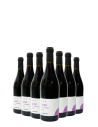 Oium · Vino Colli Bolognesi Merlot DOC - Formato da 18 bottiglie  - 1