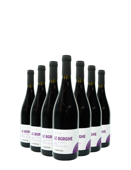 Le Borghe · Vino Colli Bolognesi Barbera DOC Frizzante - Formato da 18 bottiglie  - 1