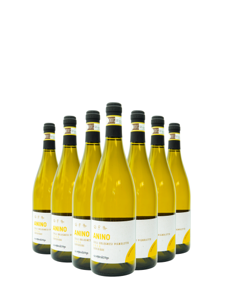ANino · Vino Colli Bolognesi Pignoletto DOCG Superiore - Formato da 18 bottiglie  - 1