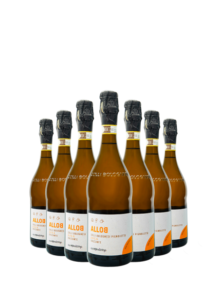alloB · Vino Colli Bolognesi Pignoletto DOCG Frizzante - Formato da 18 bottiglie  - 1
