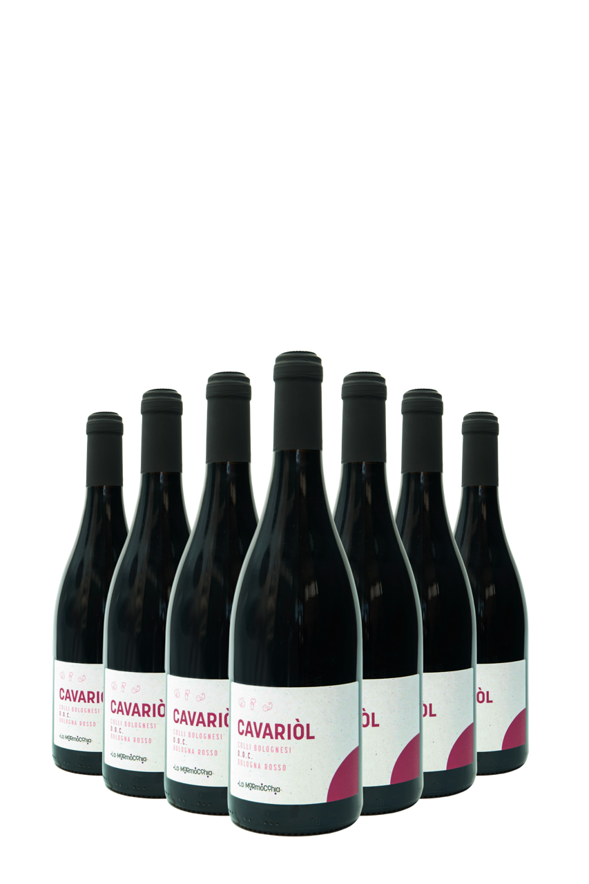 Cavariol · Vino Colli Bolognesi DOC Bologna Rosso - Formato da 18 bottiglie  - 1