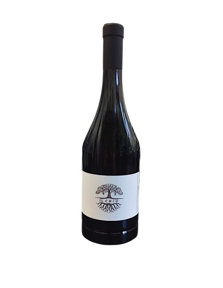Il Chiù Vino Rosso Biologico La Marmocchia