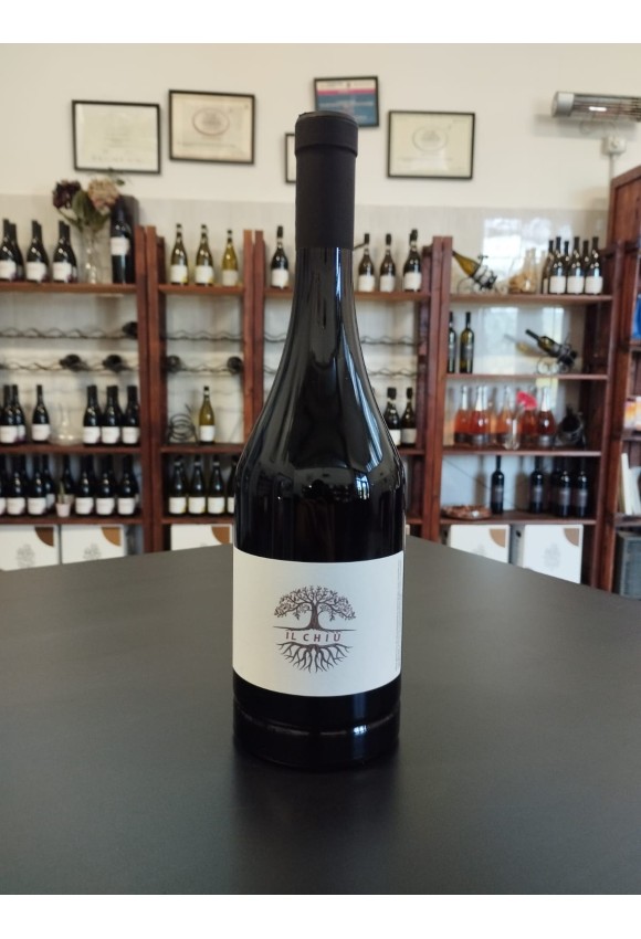 copy of Oium · Vino Colli Bolognesi DOC Merlot  - 2