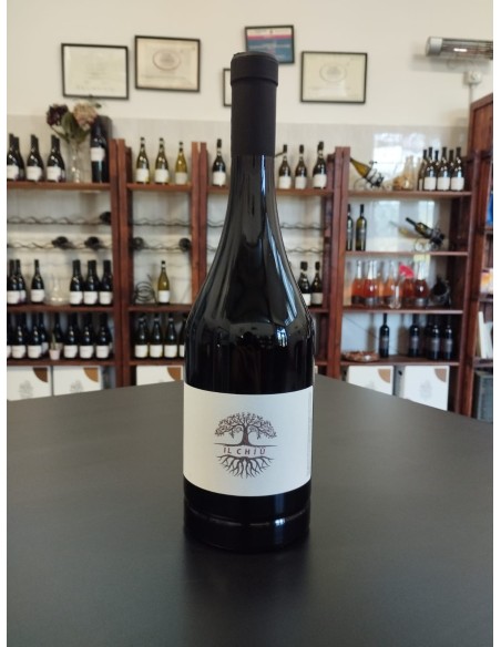 copy of Oium · Vino Colli Bolognesi DOC Merlot  - 2